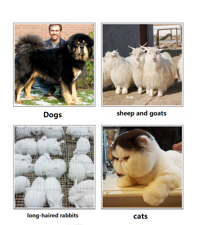 Tosatrice per animali con filo T82