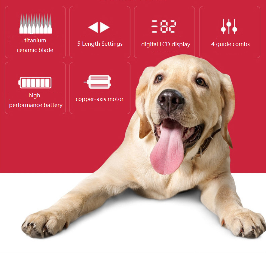 Tosatrice per toelettatura animali domestici a batteria D88