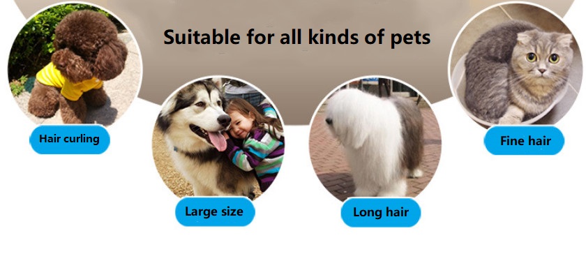 Tosatrice per animali domestici a batteria LANGBA AB60